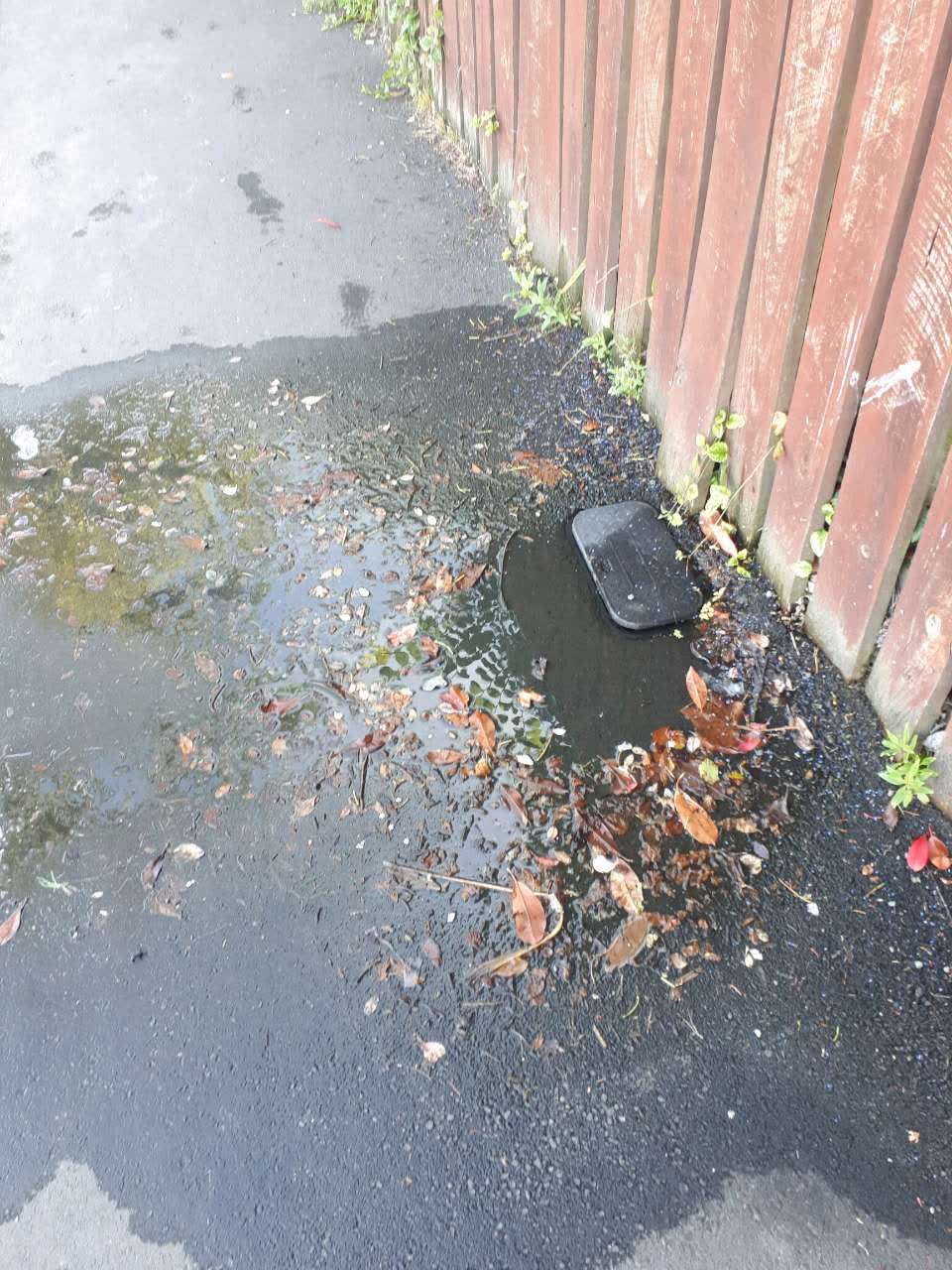 The photograph attached to this water supply report