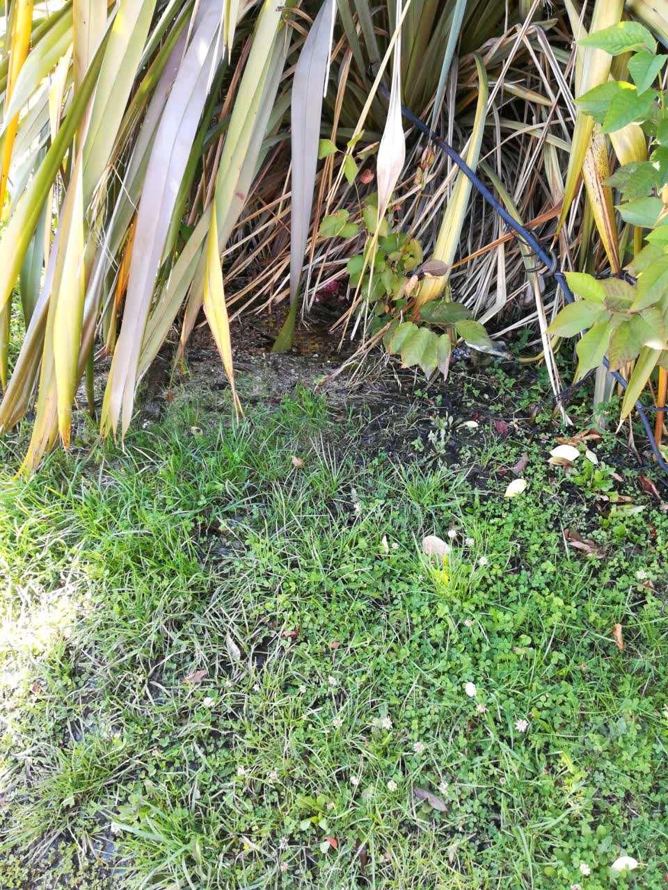 The photograph attached to this water supply report