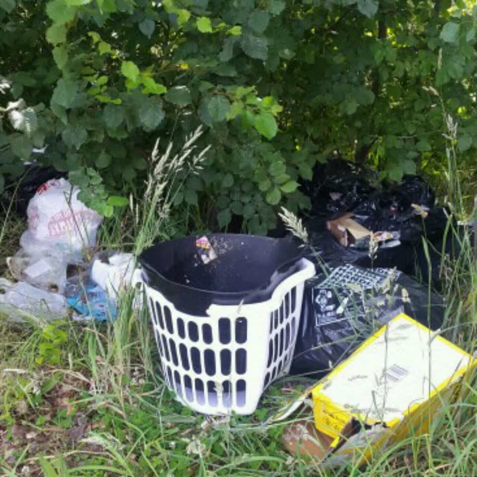 The photograph attached to this rubbish/recycling report