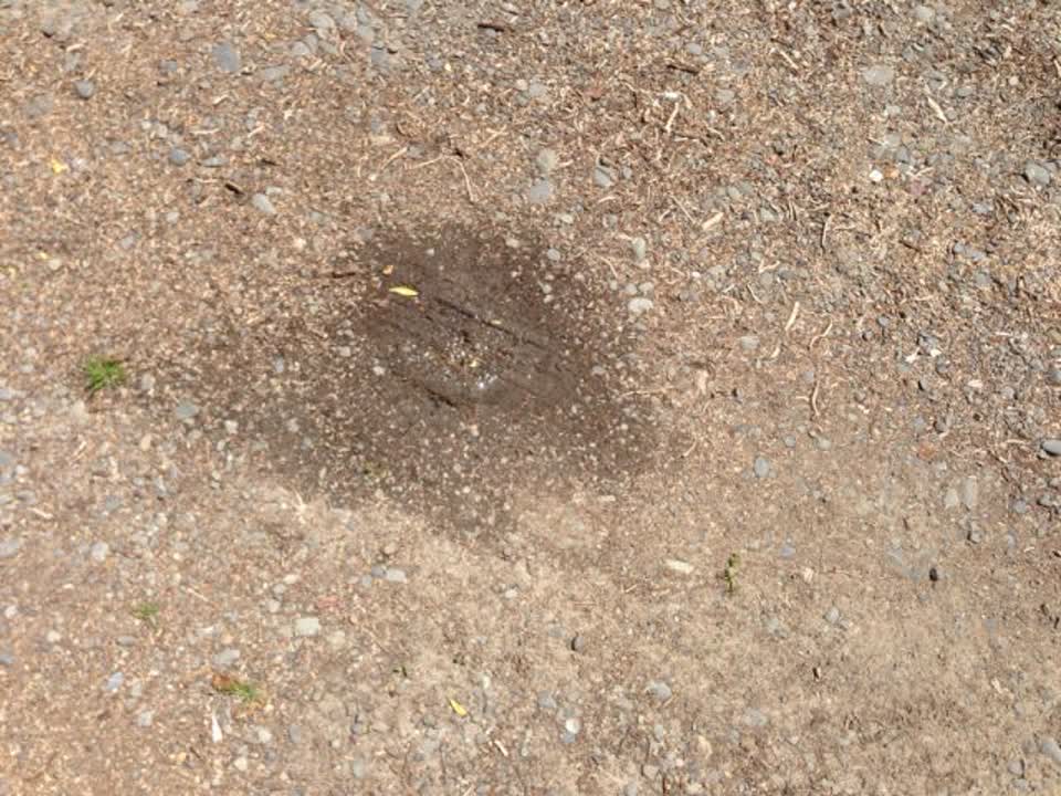 The photograph attached to this water supply report