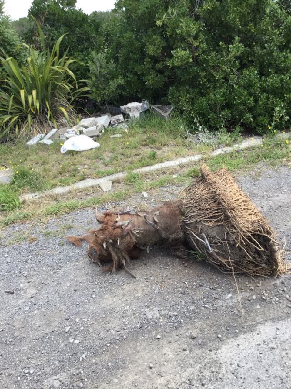 The photograph attached to this rubbish/recycling report
