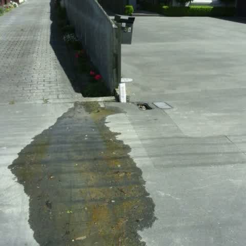 Water Supply, a report photo