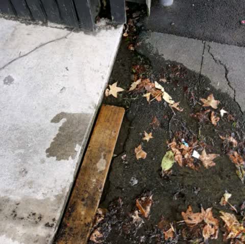 Water Supply — a report photo