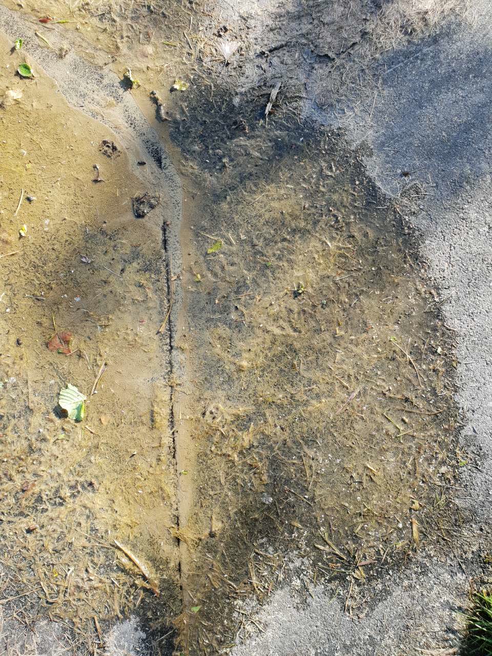 The photograph attached to this flooding report