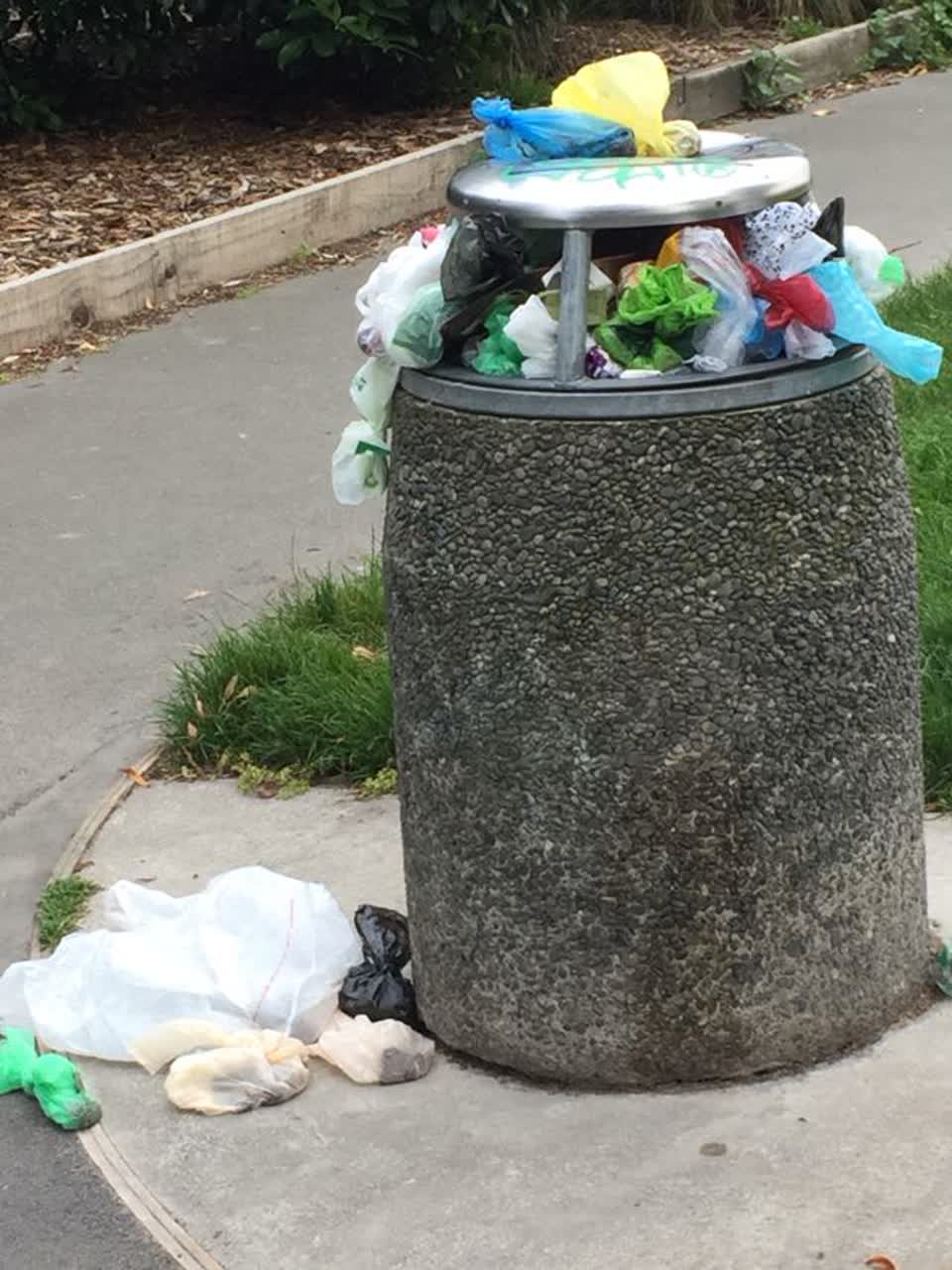 The photograph attached to this rubbish/recycling report