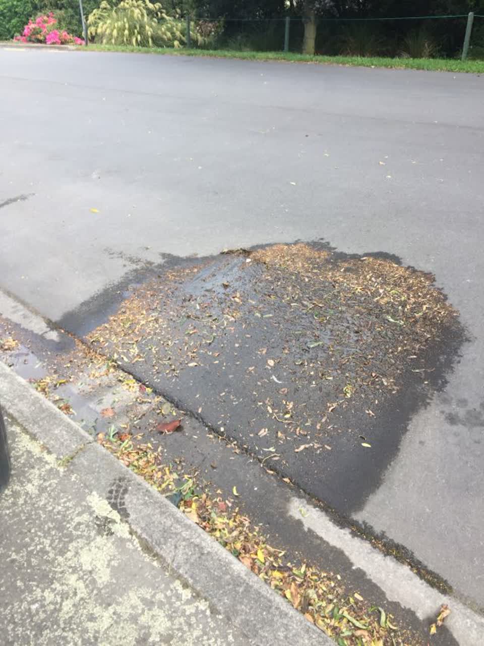 The photograph attached to this water supply report