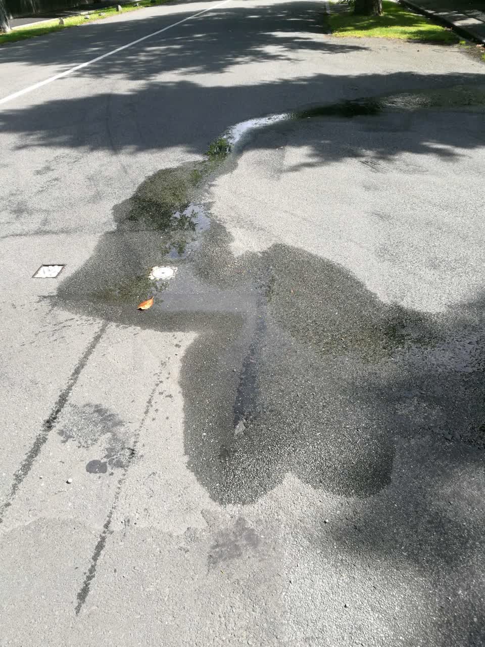 The photograph attached to this water supply report