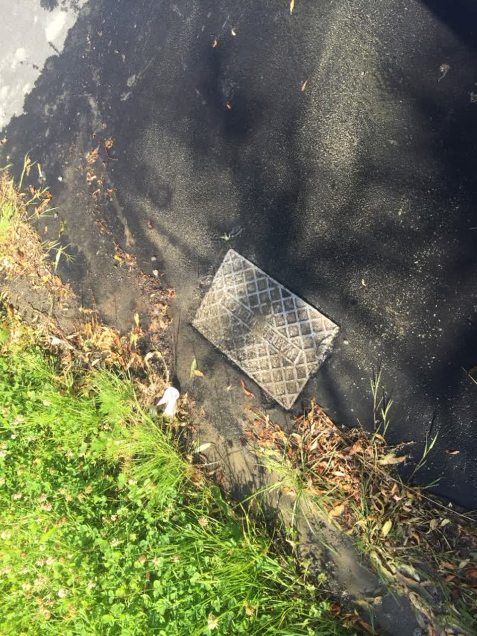 The photograph attached to this water supply report