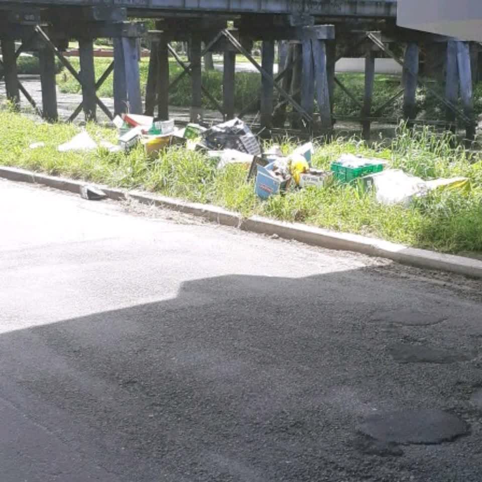 The photograph attached to this rubbish/recycling report