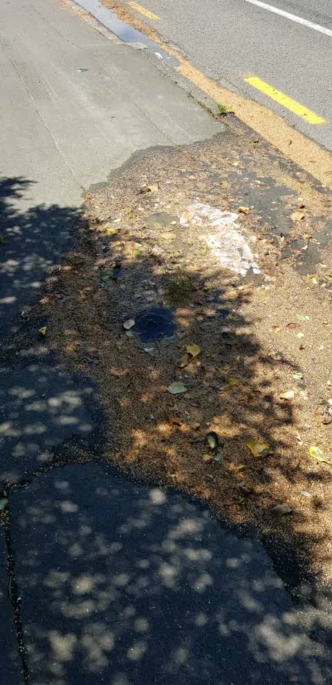 Water Supply, a report photo
