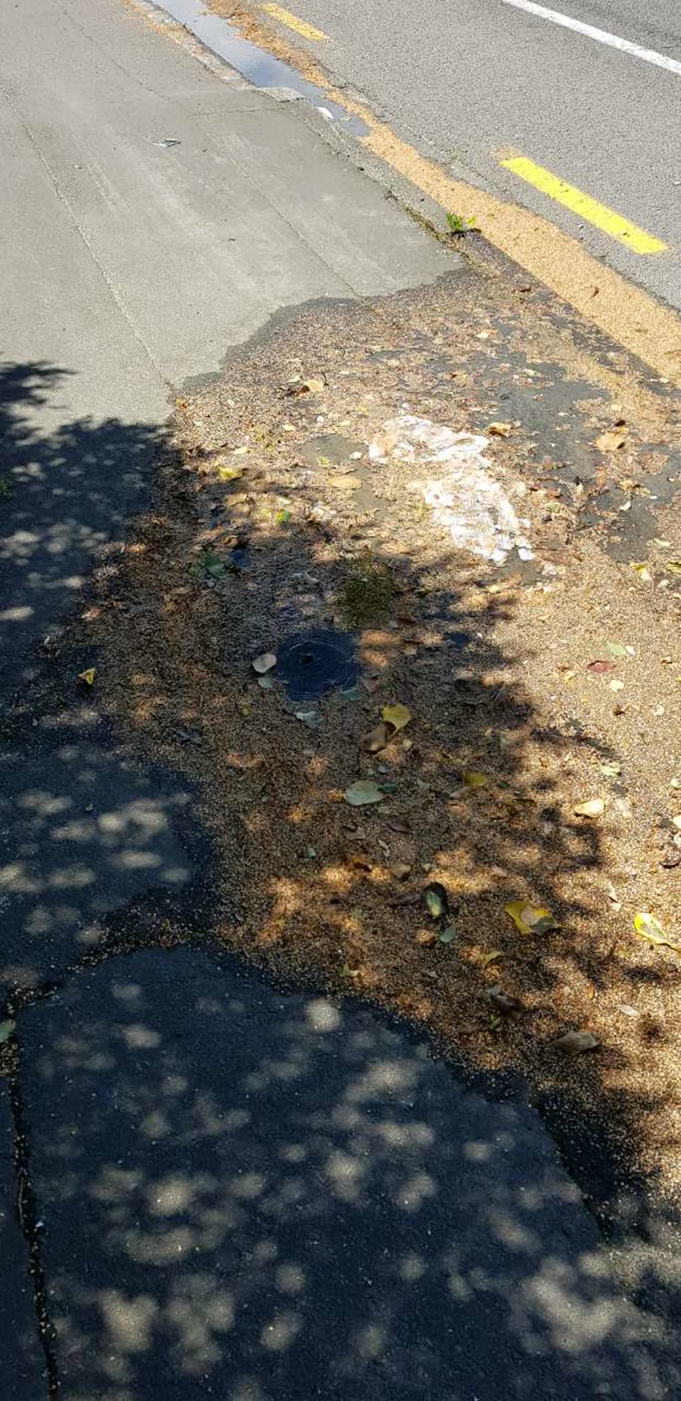 The photograph attached to this water supply report