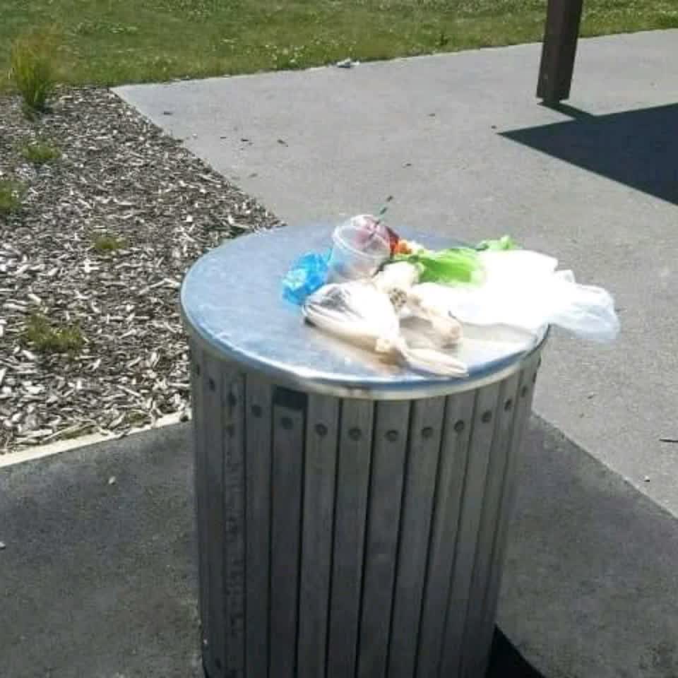 The photograph attached to this rubbish/recycling report