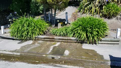 Water Supply, a report photo