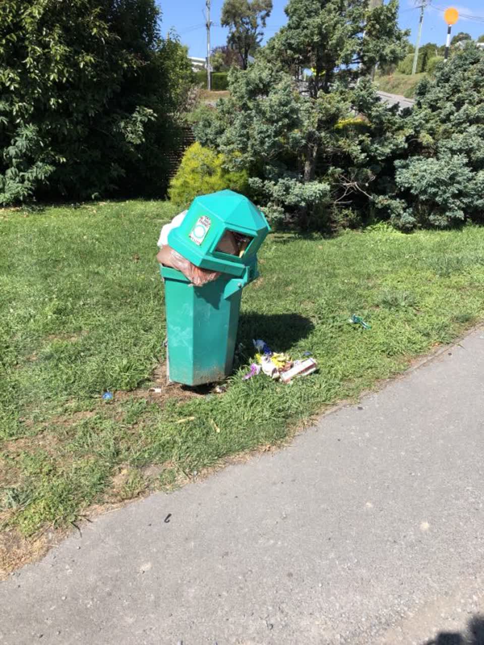 The photograph attached to this rubbish/recycling report