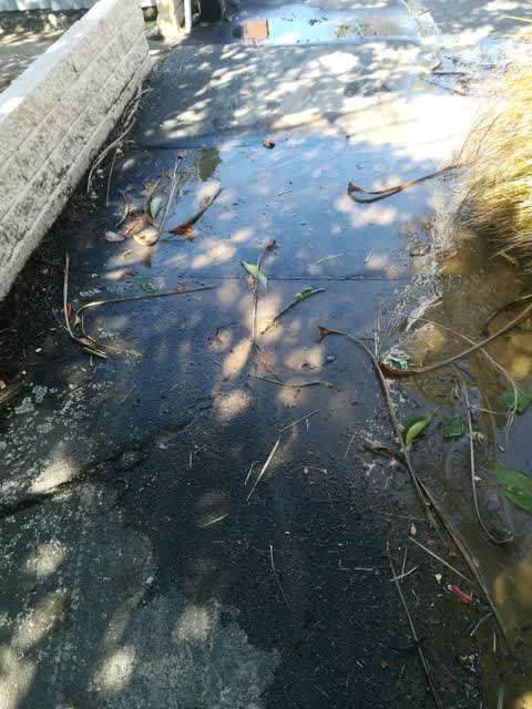 Water Supply, a report photo