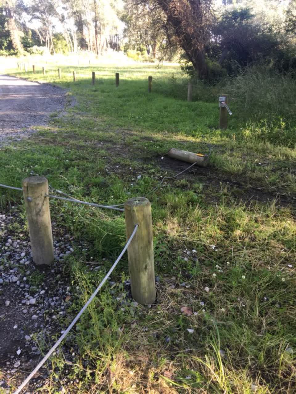 The photograph attached to this parks report