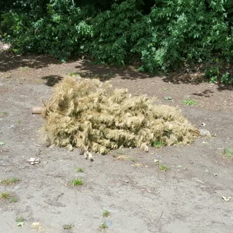 Rubbish/Recycling, a report photo
