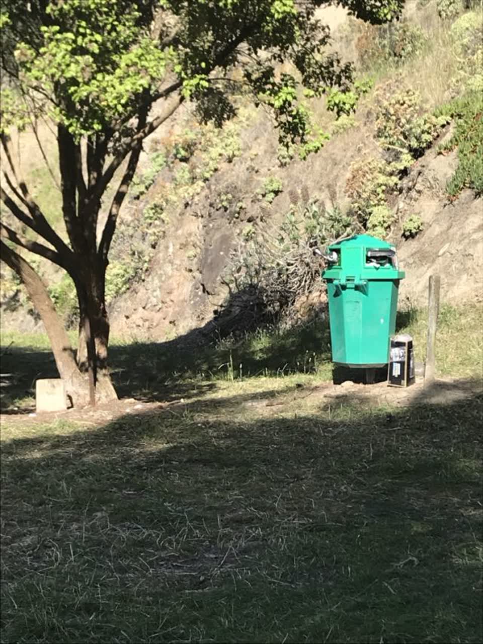 The photograph attached to this parks report