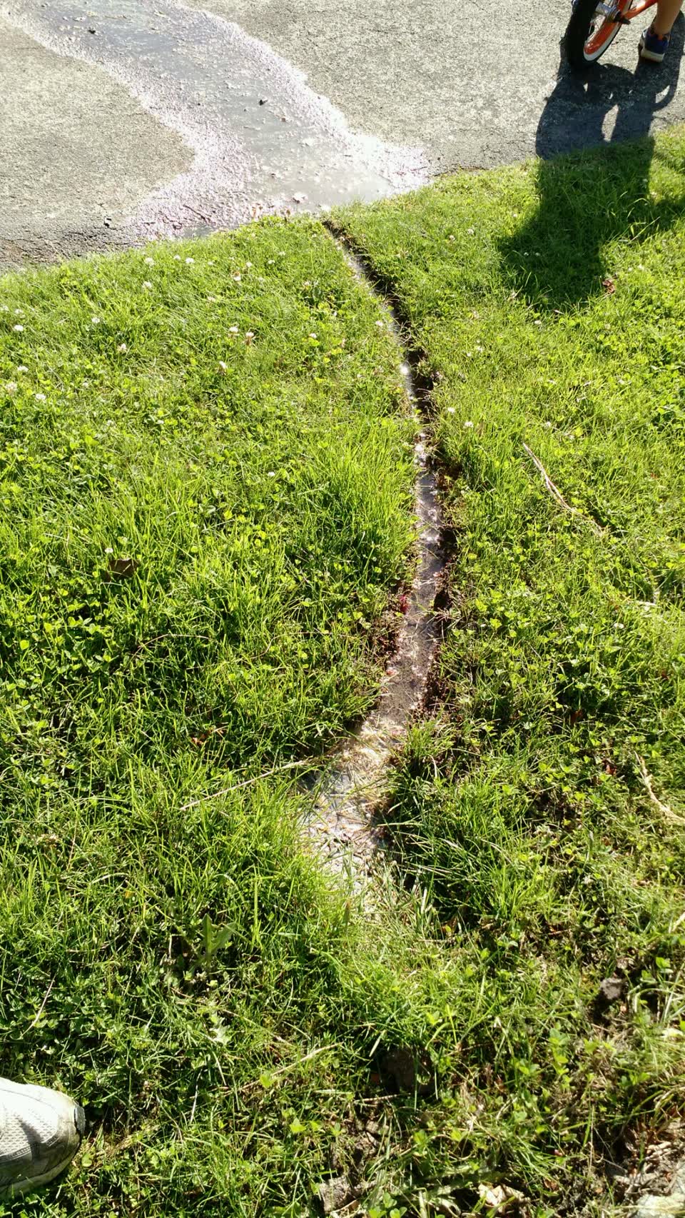 The photograph attached to this water supply report