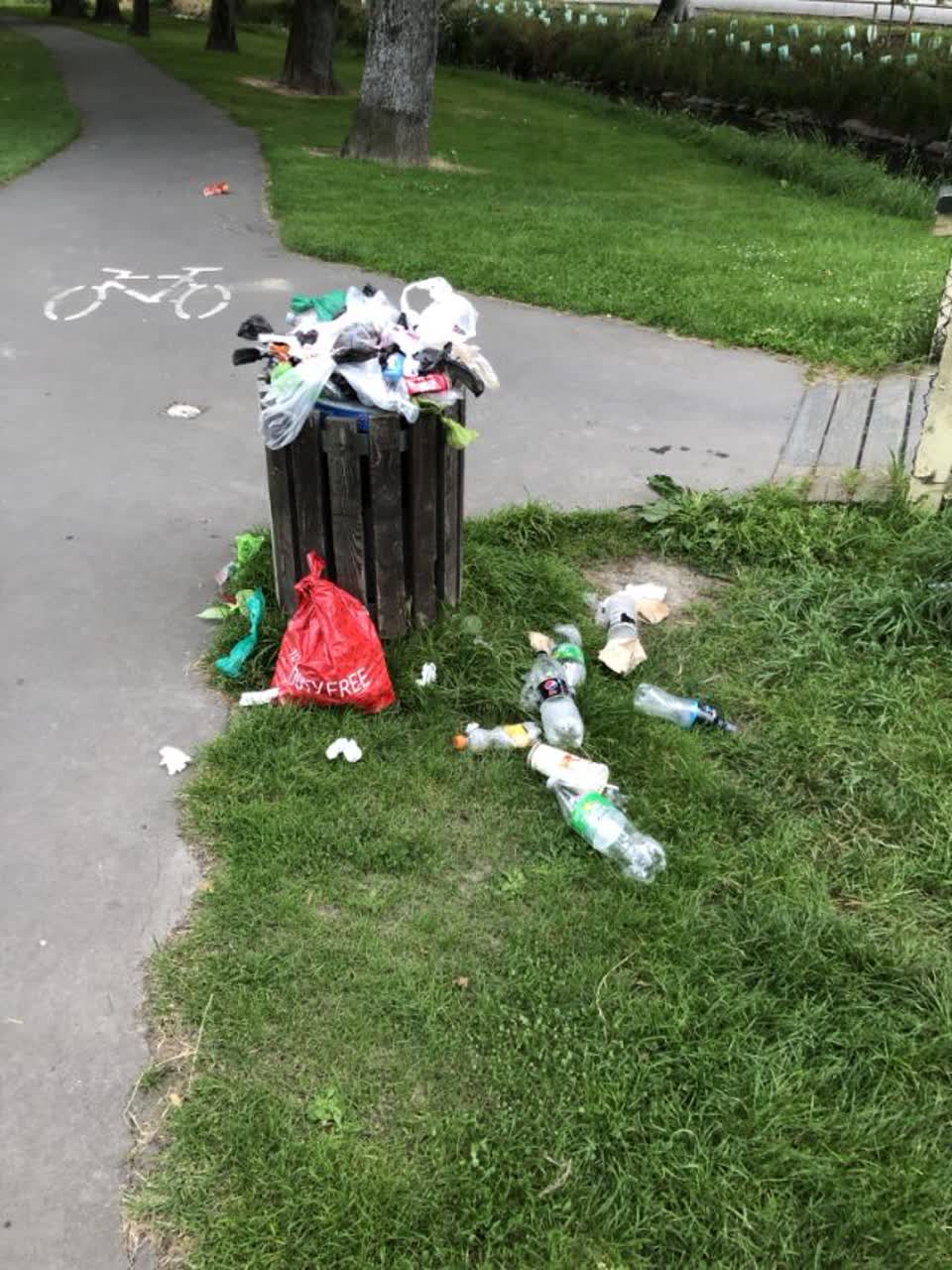 The photograph attached to this rubbish/recycling report