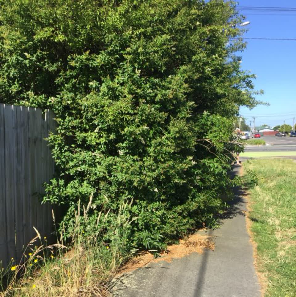 The photograph attached to this roading/streets report