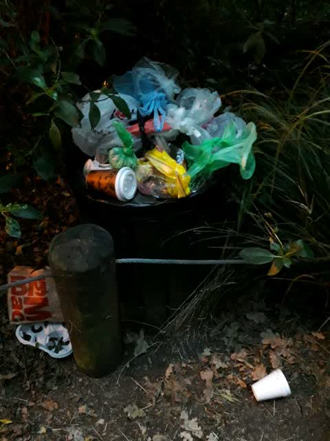 Rubbish/Recycling, a report photo