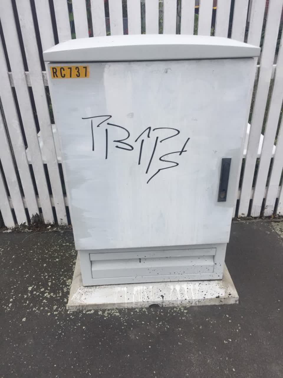 The photograph attached to this graffiti report