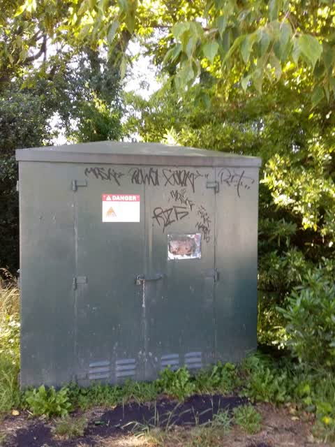 Graffiti, a report photo