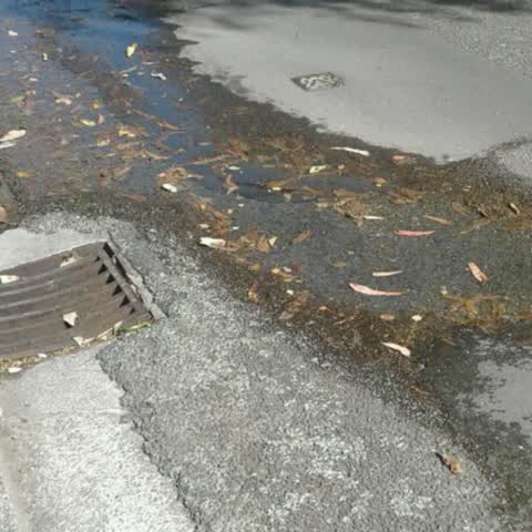 Water Supply, a report photo