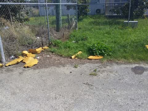 Rubbish/Recycling, a report photo