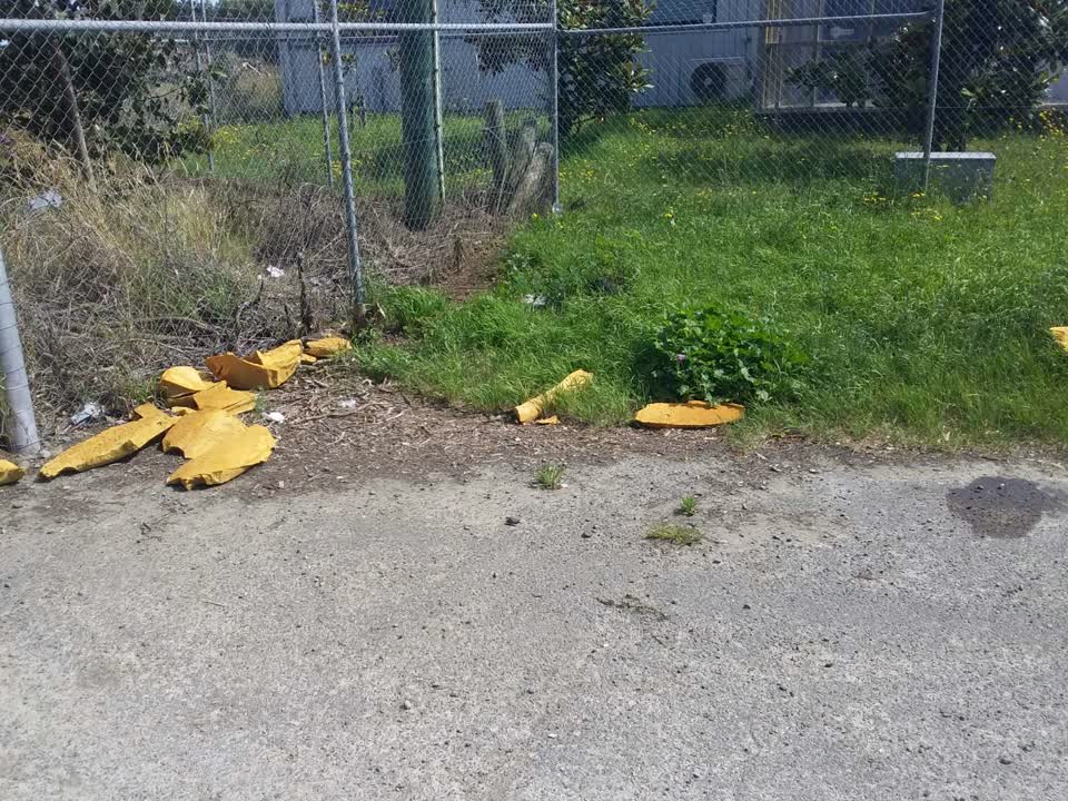 The photograph attached to this rubbish/recycling report