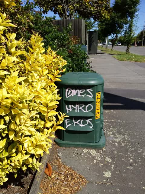 Graffiti, a report photo