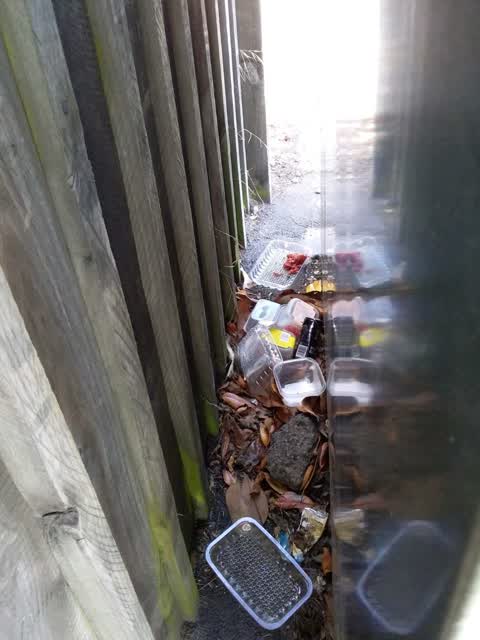 Rubbish/Recycling, a report photo