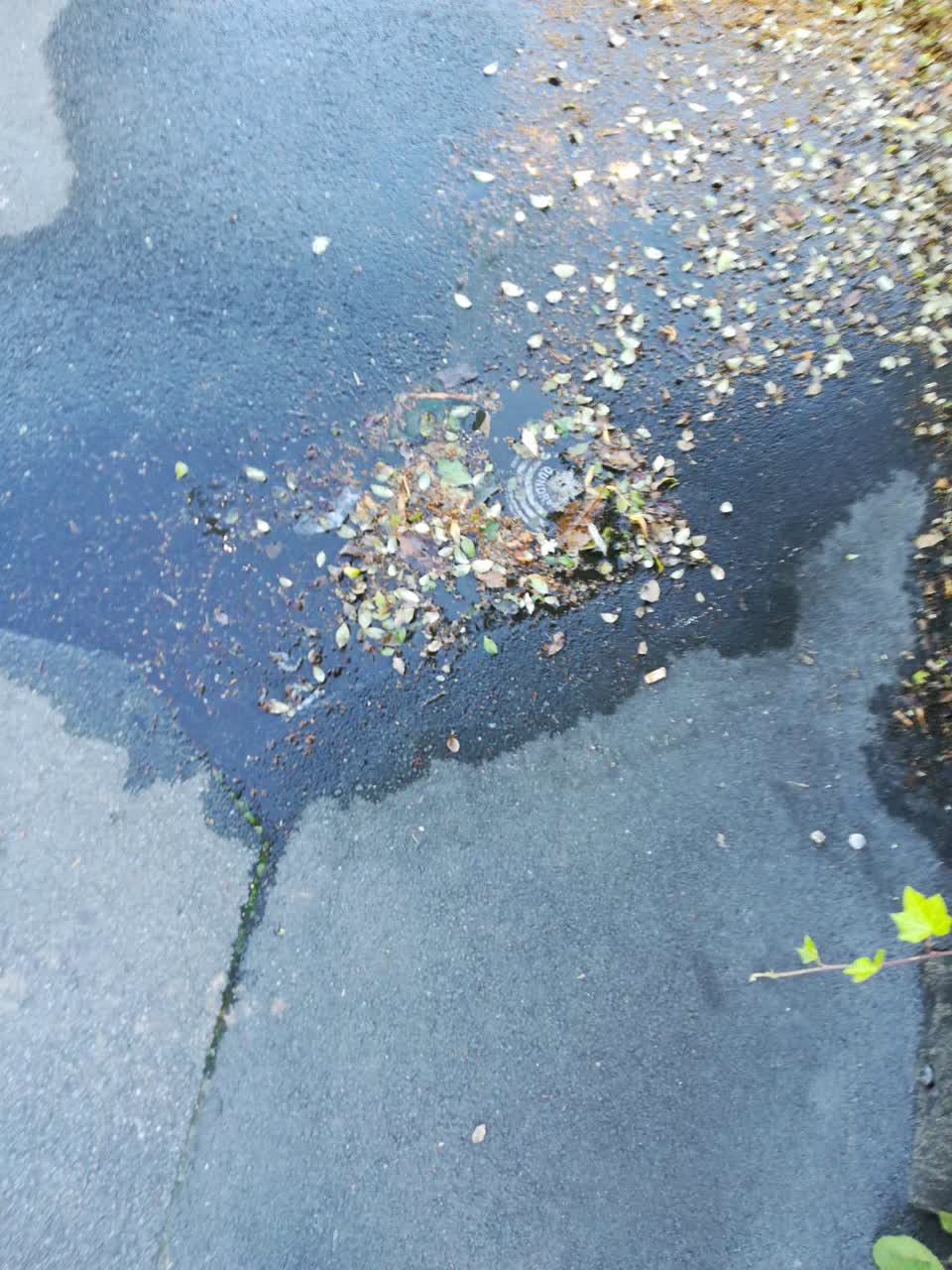 The photograph attached to this water supply report