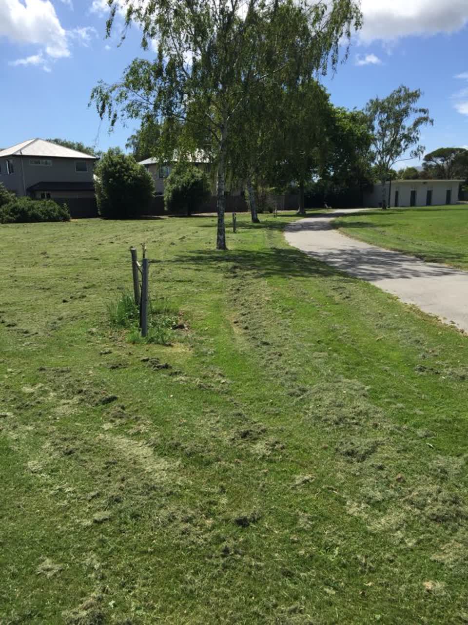 The photograph attached to this parks report