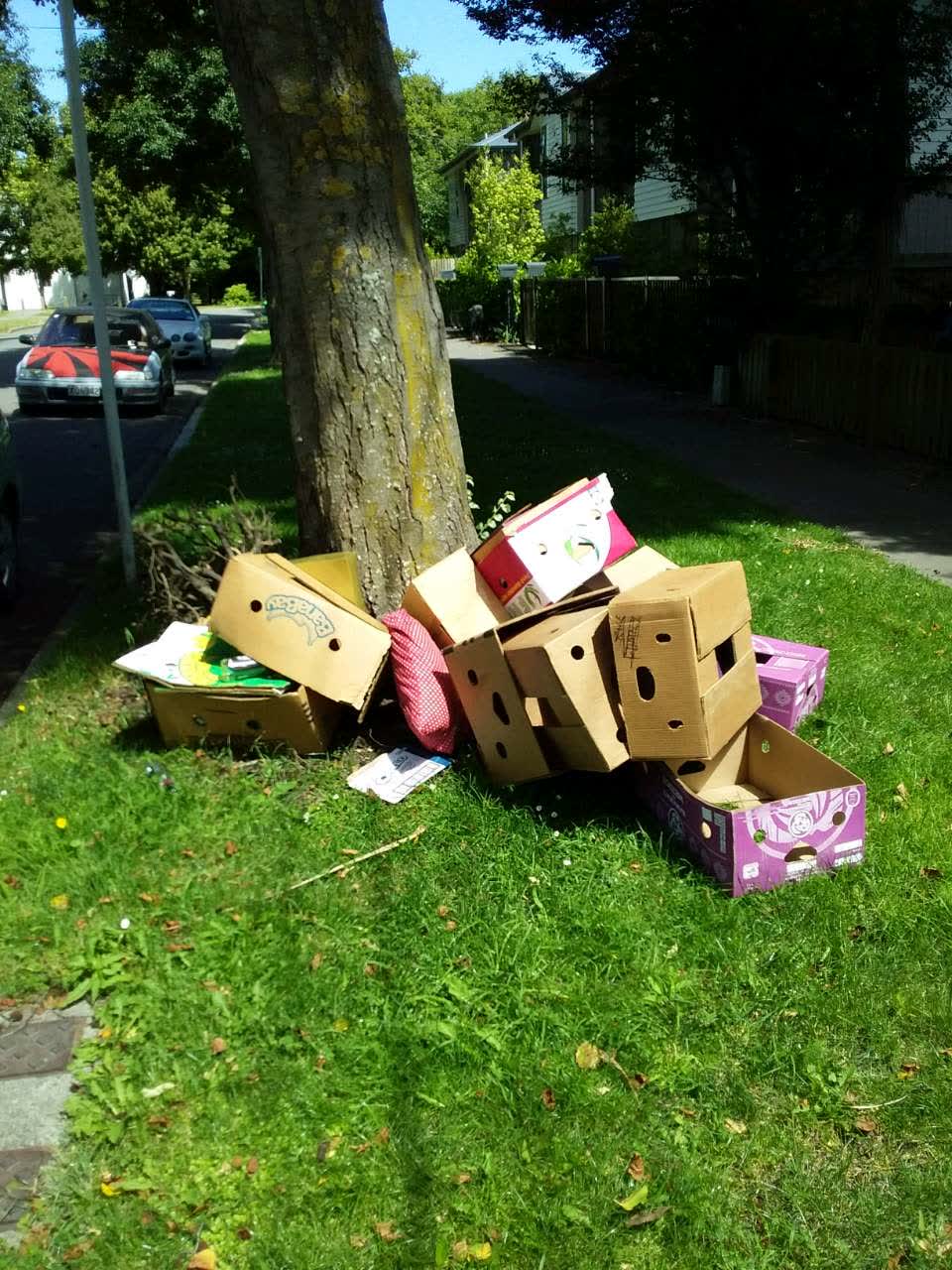 The photograph attached to this rubbish/recycling report