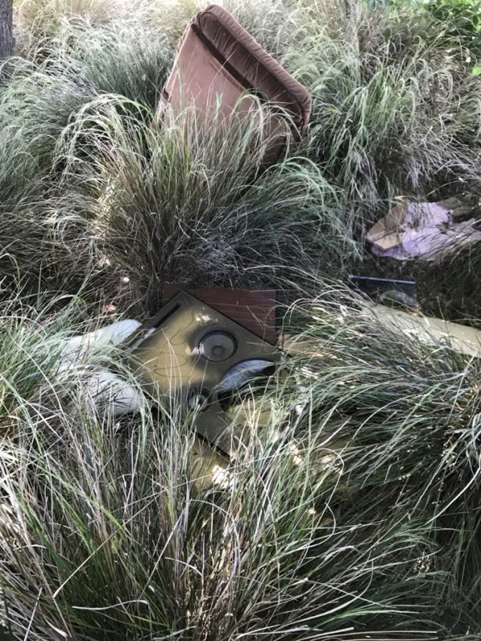 The photograph attached to this parks report