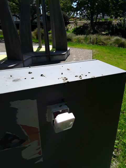 Parks, a report photo