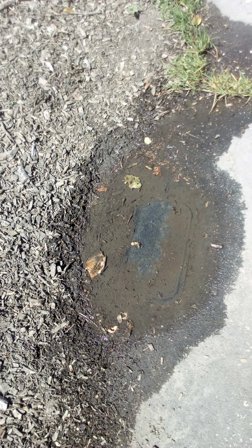 The photograph attached to this water supply report