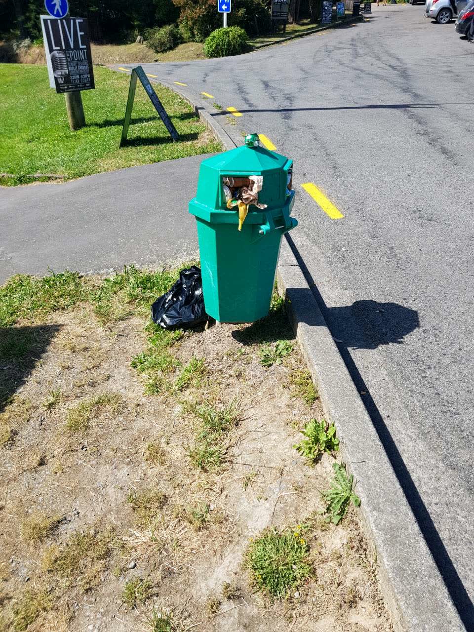 The photograph attached to this rubbish/recycling report