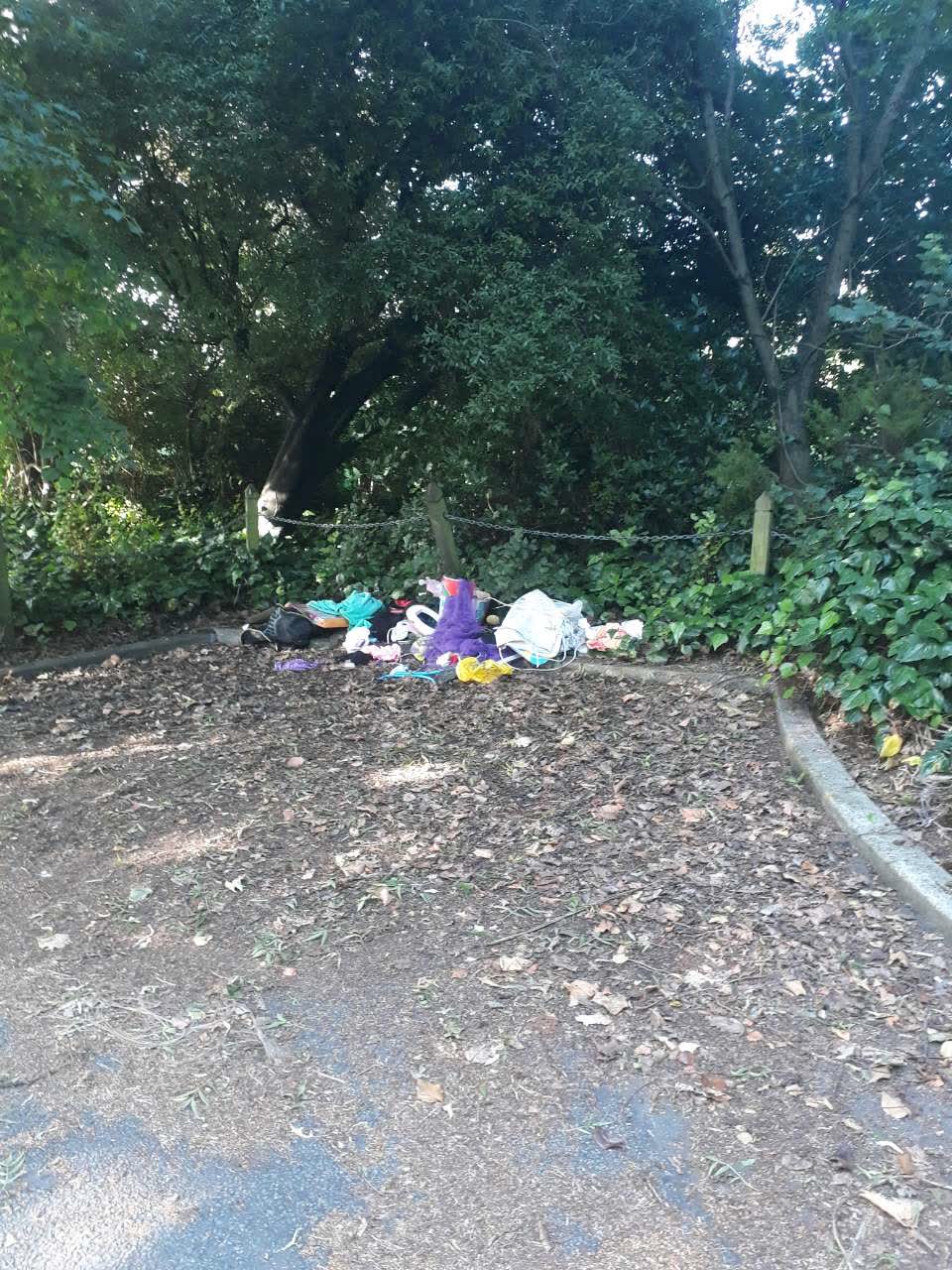 The photograph attached to this rubbish/recycling report