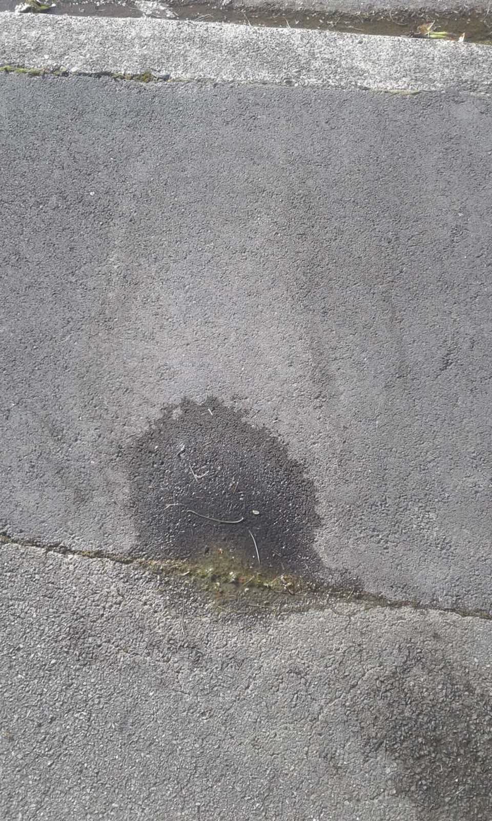 The photograph attached to this water supply report