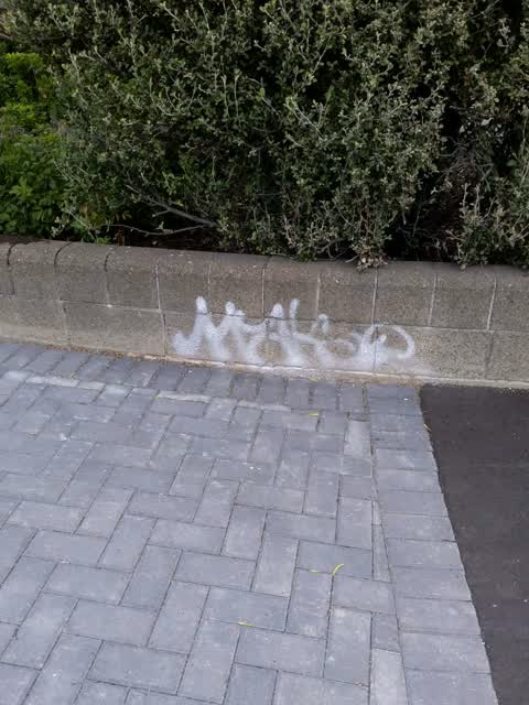 Graffiti — a report photo