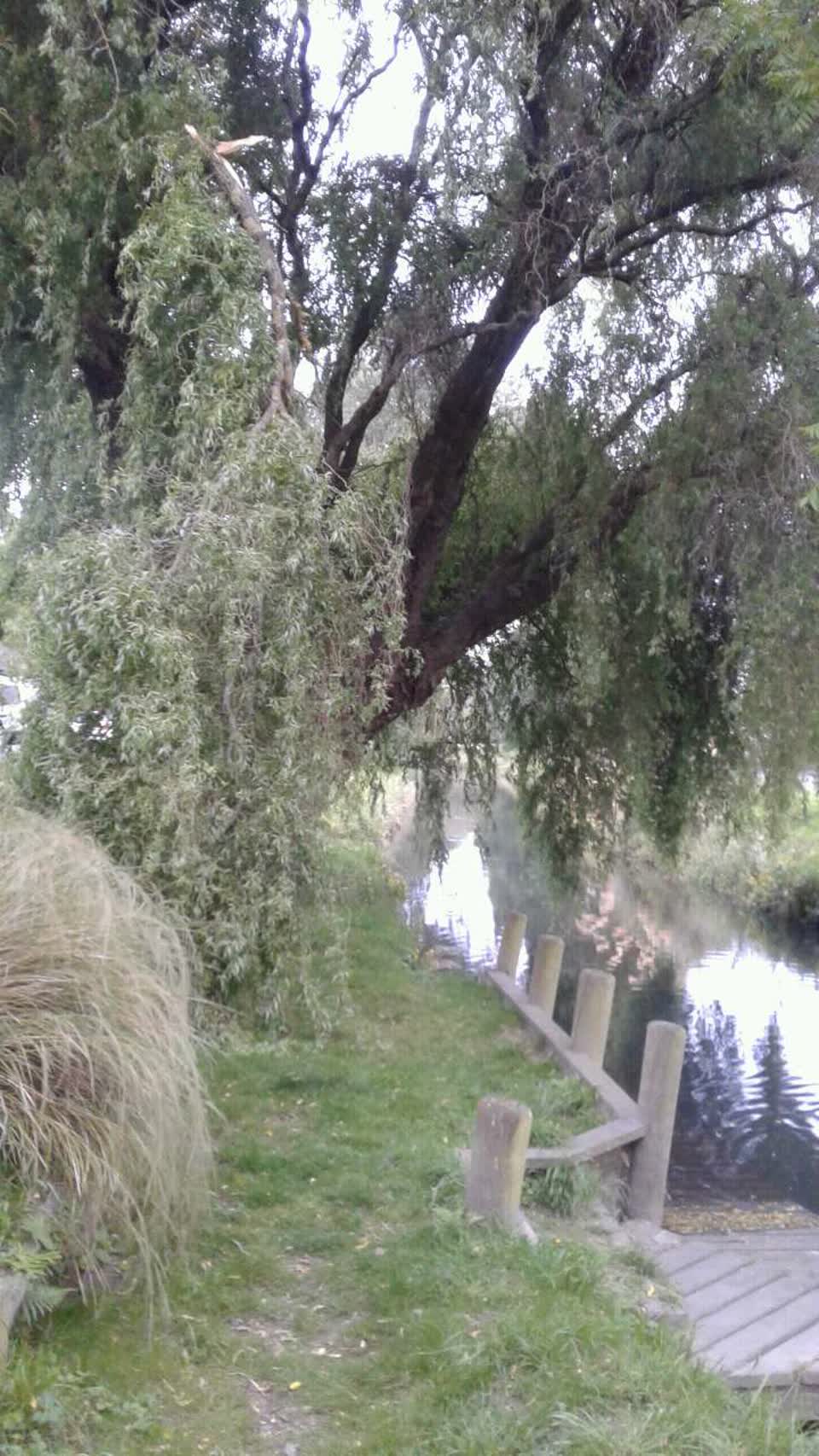The photograph attached to this parks report