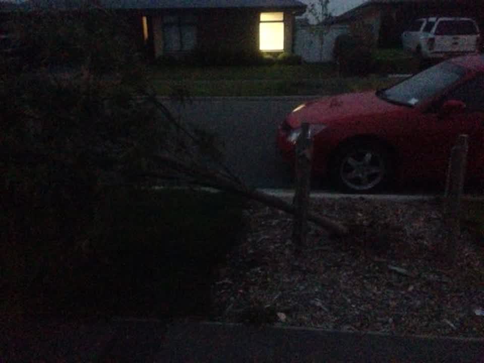 The photograph attached to this parks report