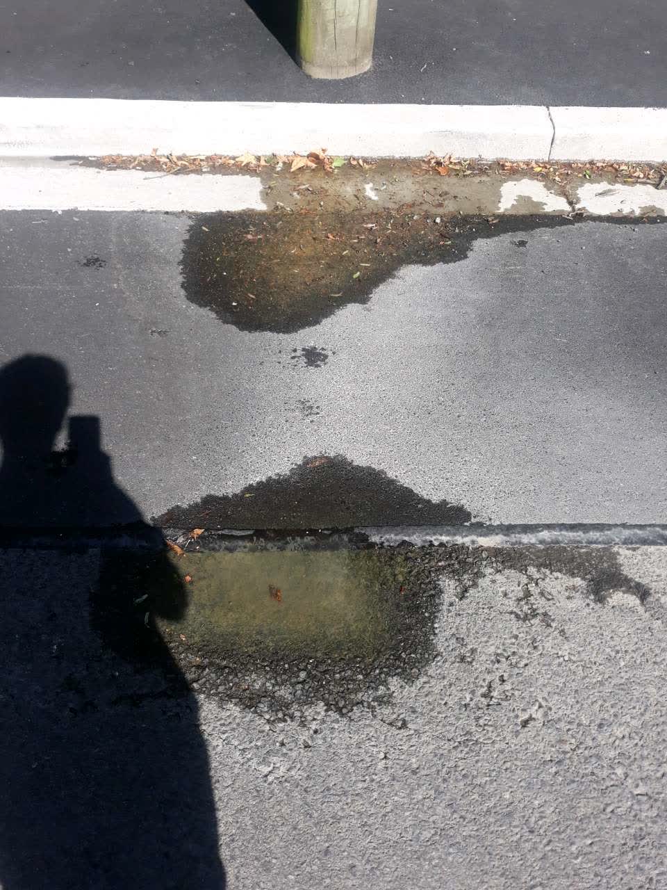 The photograph attached to this water supply report