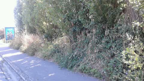 Roading/Streets — a report photo