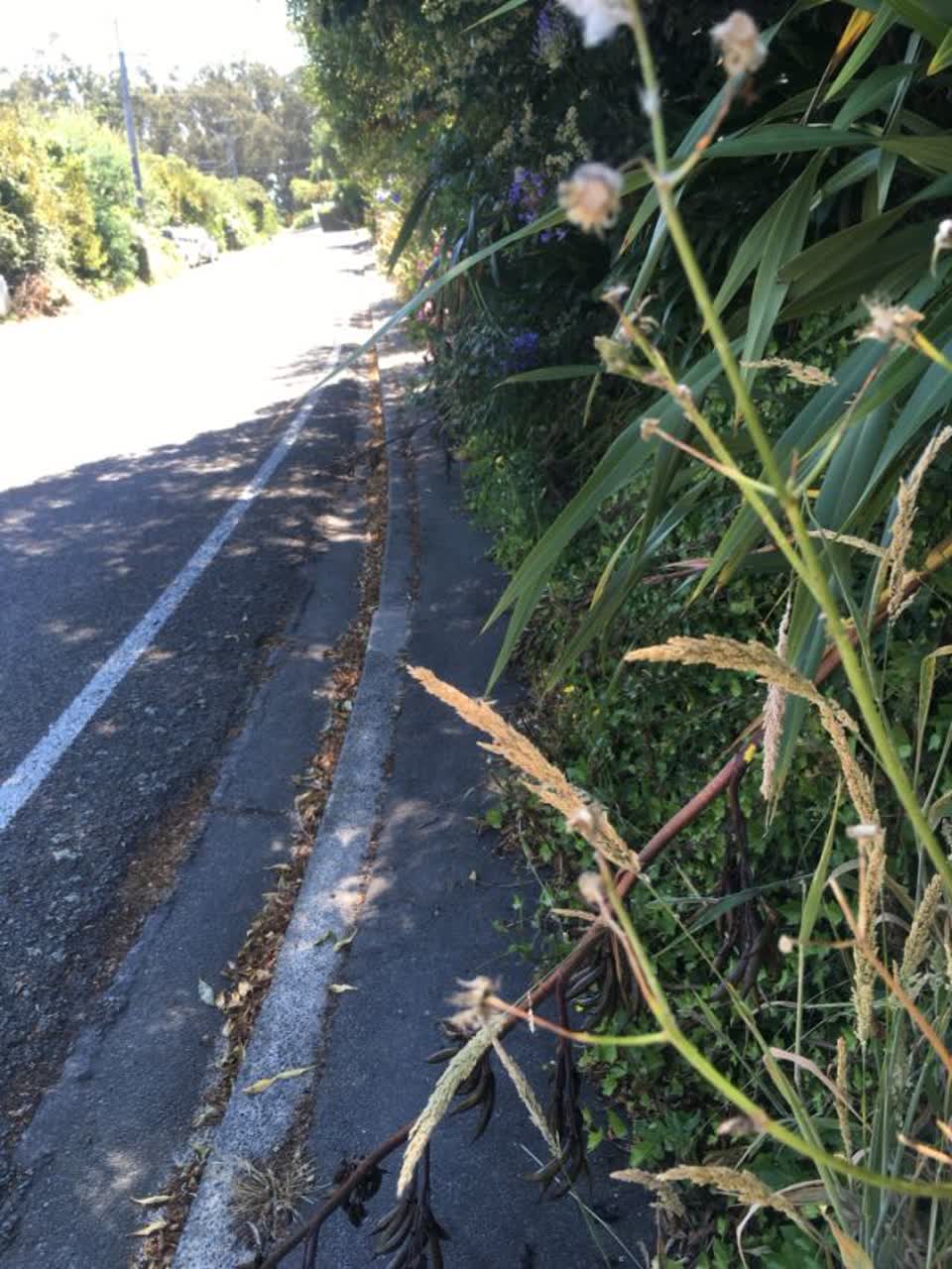 The photograph attached to this roading/streets report