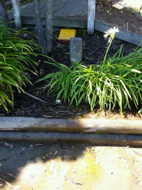 Water Supply, a report photo
