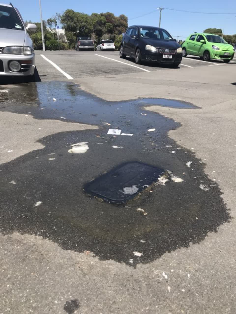 The photograph attached to this water supply report